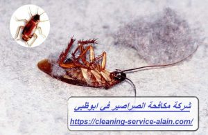 شركة مكافحة الصراصير في ابوظبي