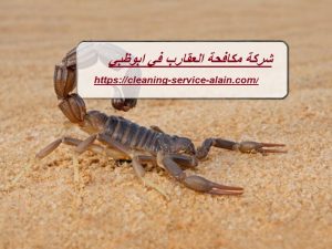 شركة مكافحة العقارب في ابوظبي