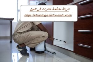 شركة مكافحة حشرات في العين