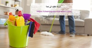 شركة تنظيف في نعمة