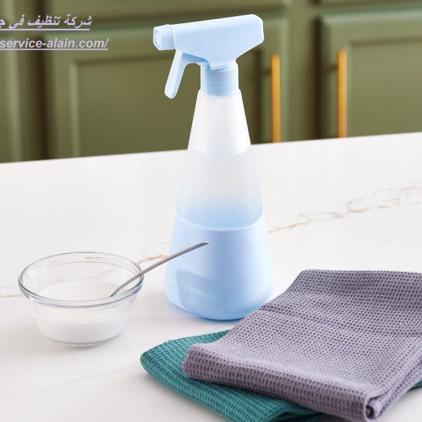 شركة تنظيف في جبل حفيت العين