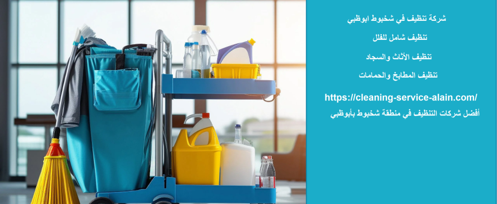 شركة تنظيف في شخبوط ابوظبي