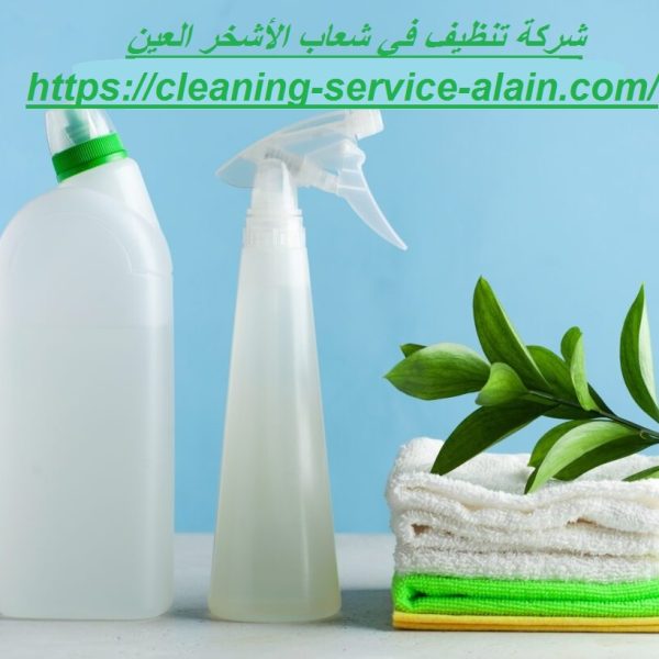 شركة تنظيف في شعاب الأشخر العين