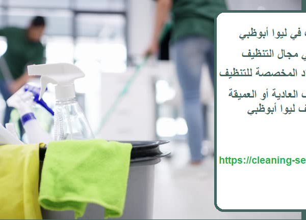 شركة تنظيف في ليوا أبوظبي