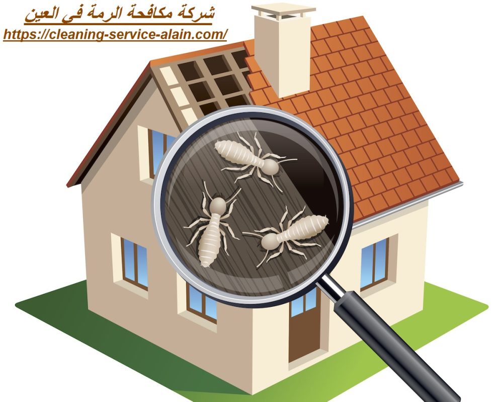 شركة مكافحة الرمة في العين