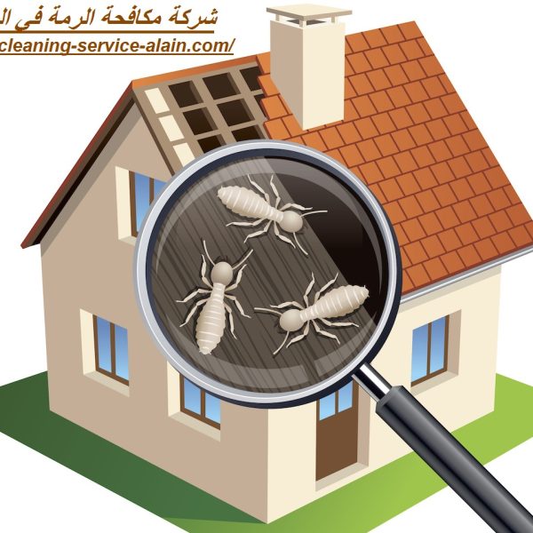 شركة مكافحة الرمة في العين