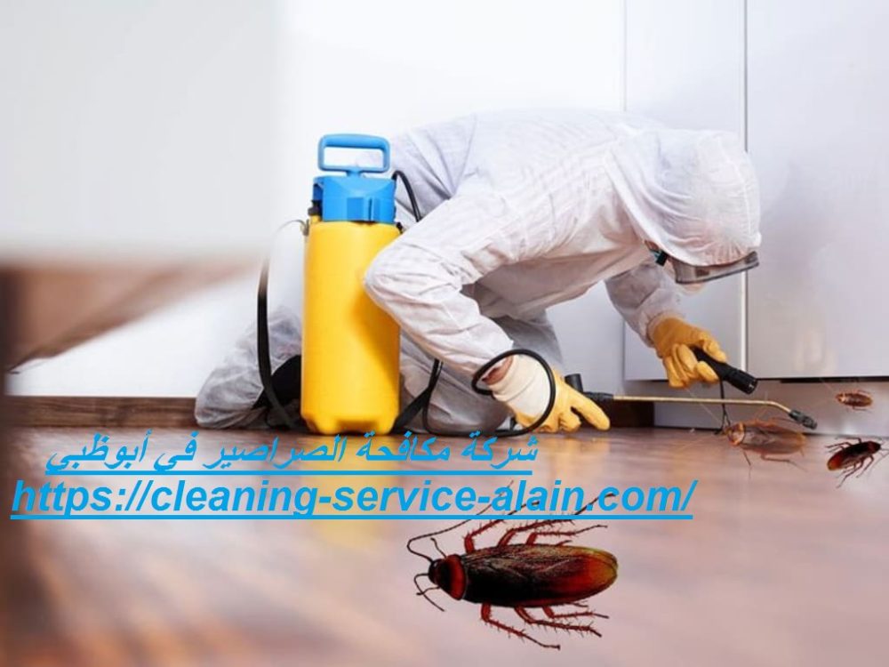 شركة مكافحة الصراصير في أبوظبي