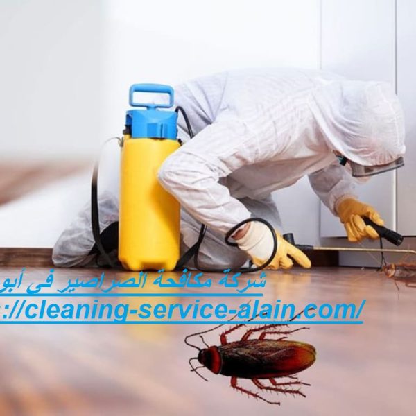 شركة مكافحة الصراصير في أبوظبي