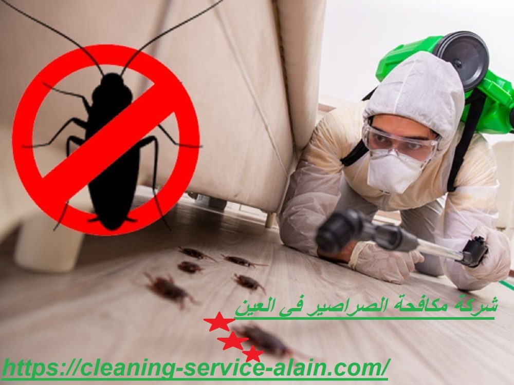 شركة مكافحة الصراصير في العين