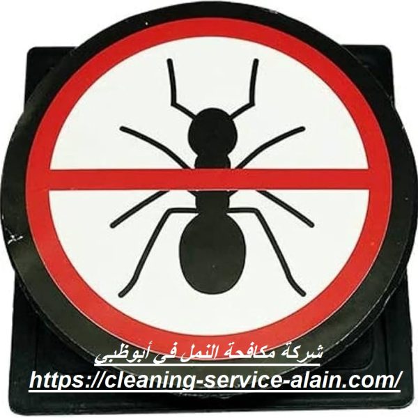 شركة مكافحة النمل في أبوظبي