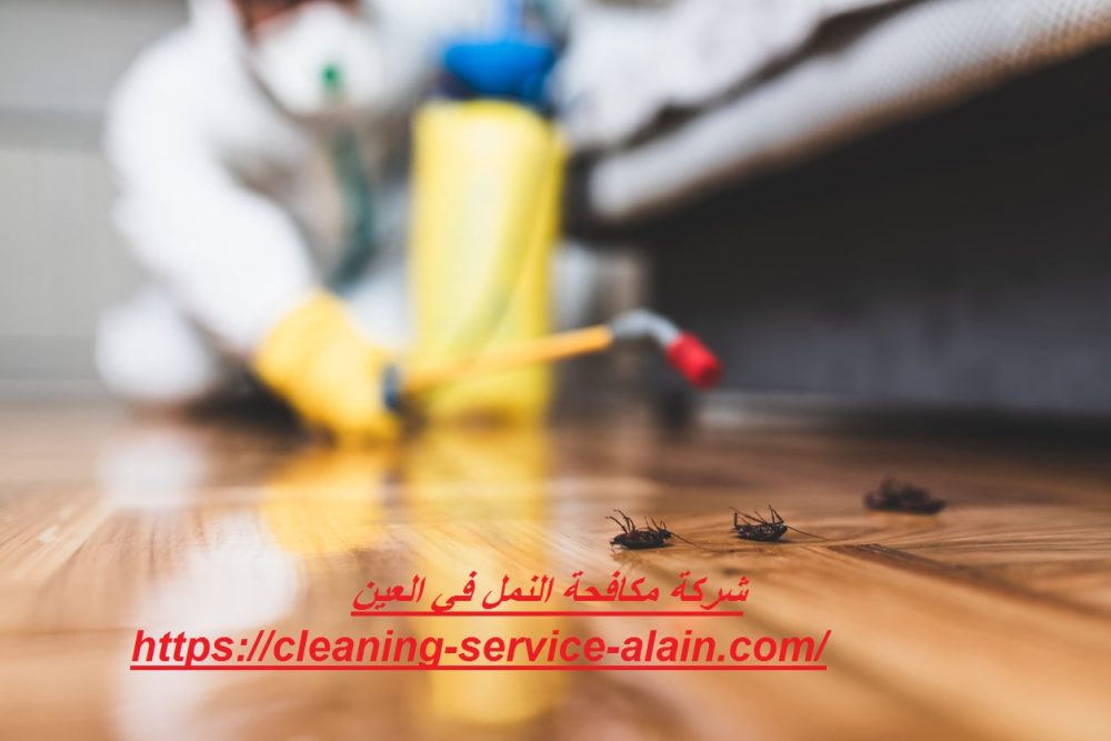 شركة مكافحة النمل في العين
