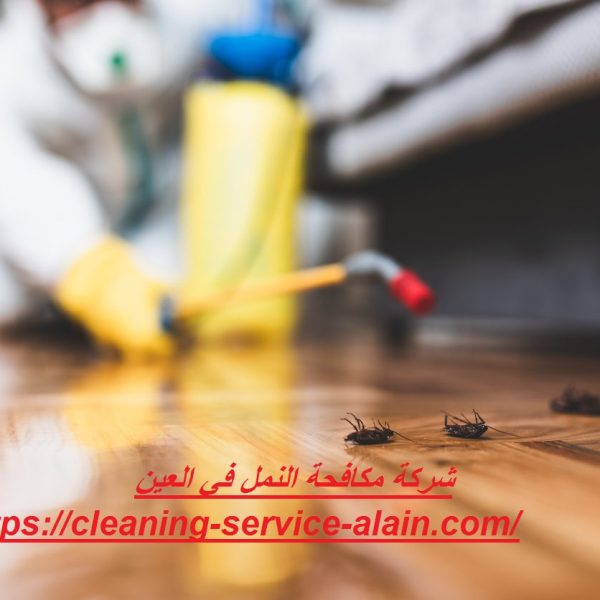شركة مكافحة النمل في العين